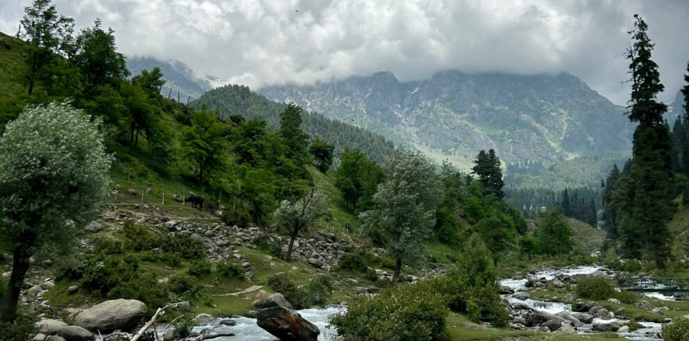 maitree-patel-o16ZLyiUMIU-unsplash