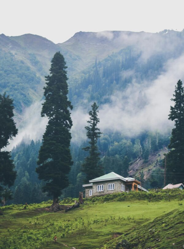 pexels-shubhendu-singh-1278012-2439787